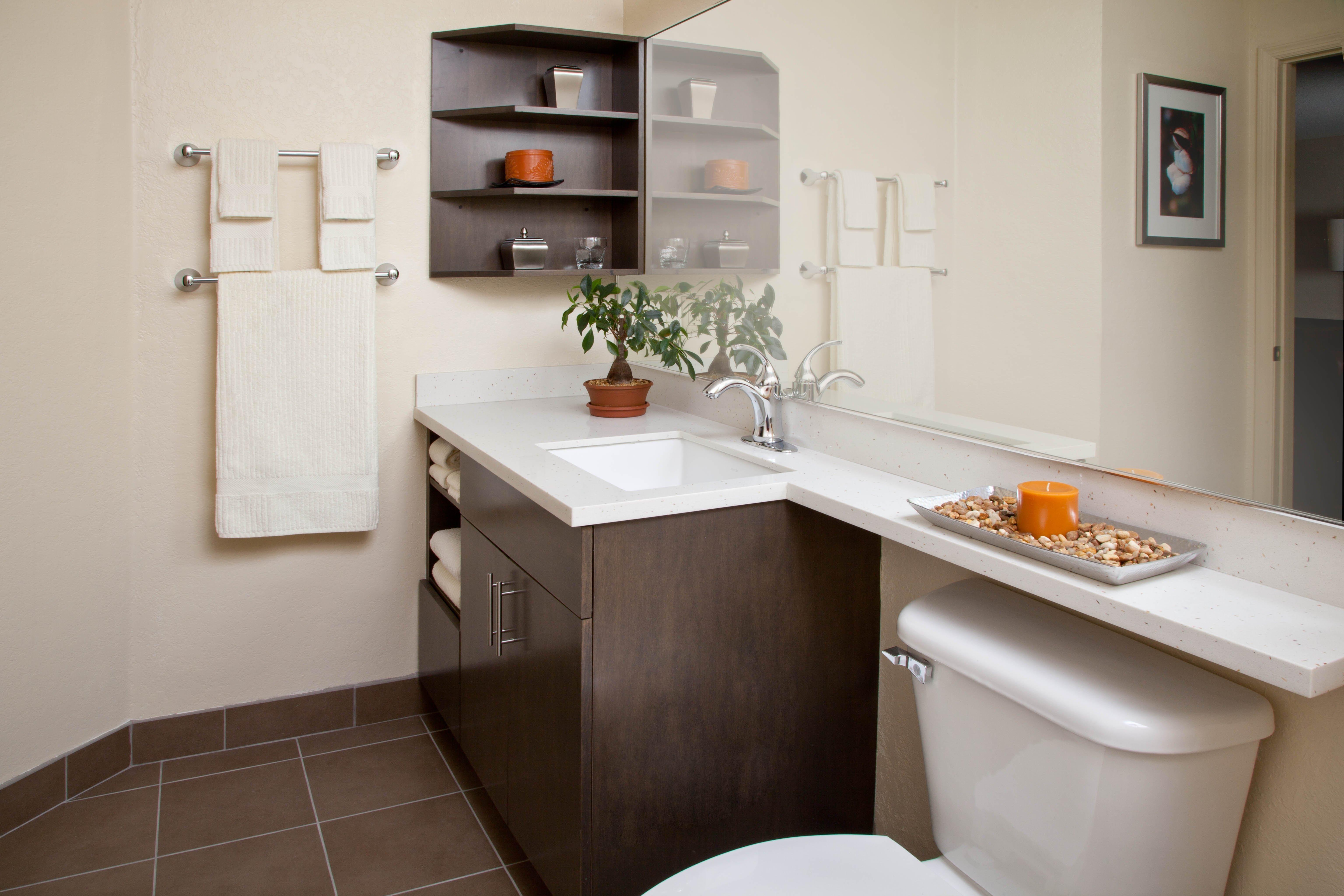 Sonesta Simply Suites ノックスビル エクステリア 写真